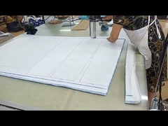 বিলাসবহুল বাসের আসন